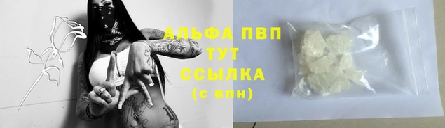 стафф Новокубанск