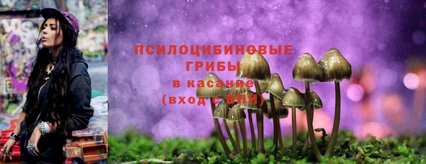 стафф Новокубанск