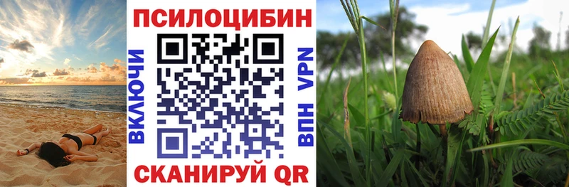 что такое наркотик  Приморск  Псилоцибиновые грибы Psilocybe 